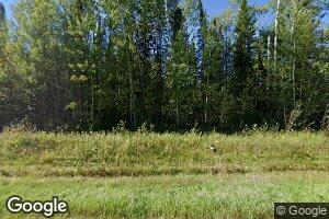 6450 County Rd 5 E, Effie, MN 56639