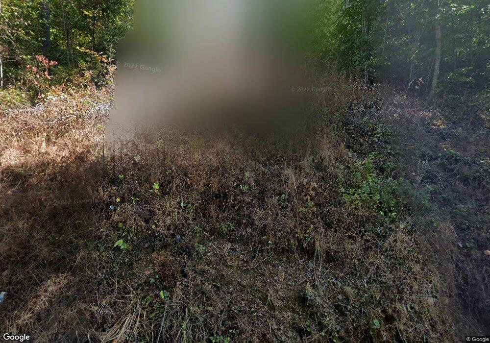 935 Coles Crossing Rd, Mineral Bluff, GA 30559 - photo 1